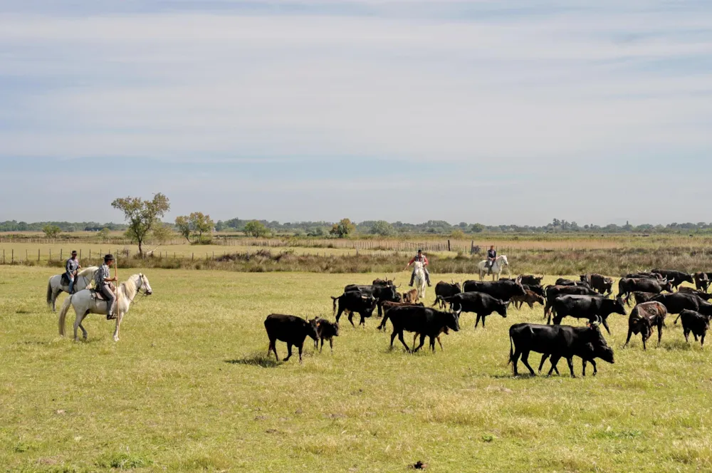 Flower Camping Le Fou du Roi - image n°20 - UniversalBooking