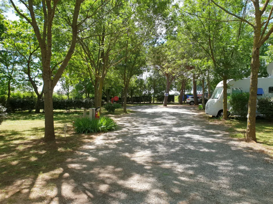 Flower Camping Le Fou du Roi