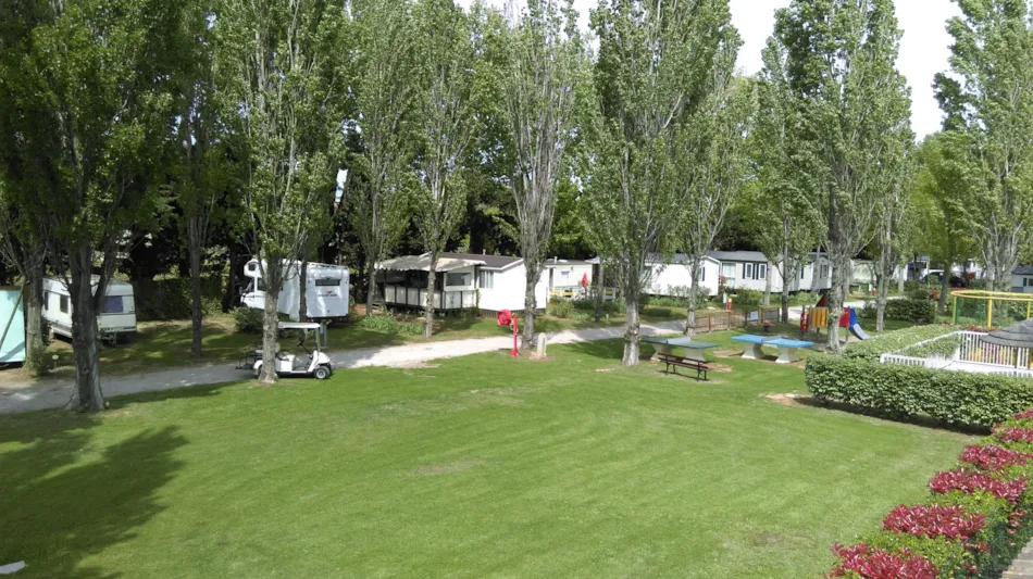 Flower Camping Le Fou du Roi