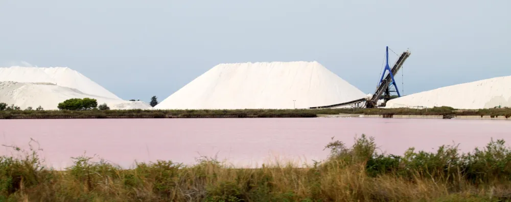 Flower Camping Le Fou du Roi - image n°23 - UniversalBooking