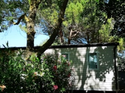 Alloggio - Casa Mobile Loggia Premium 32 M² + Tv + Aria Condizionata - Flower Camping Le Fou du Roi