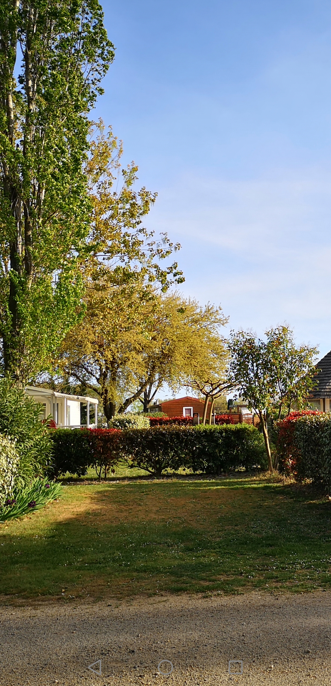 Emplacement - Forfait Confort : Voiture + Tente/Caravane Ou Camping-Car + Électricitié - Flower Camping Le Fou du Roi