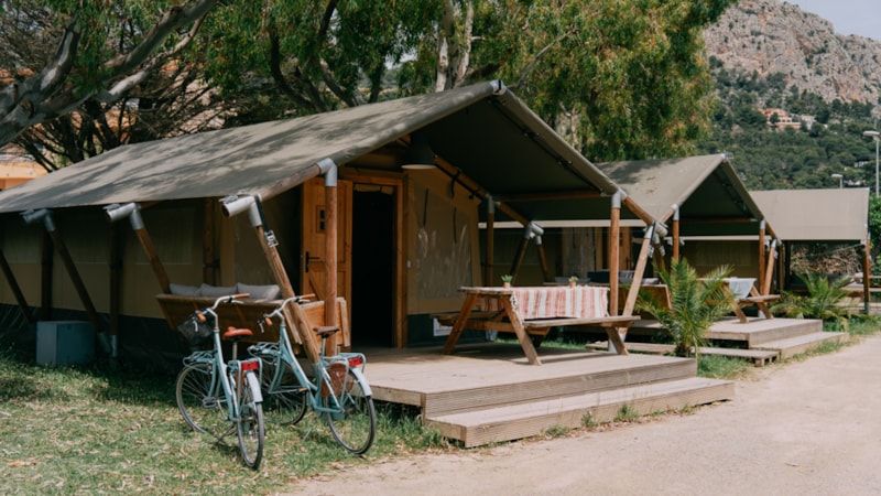 Glamping Safari Basic