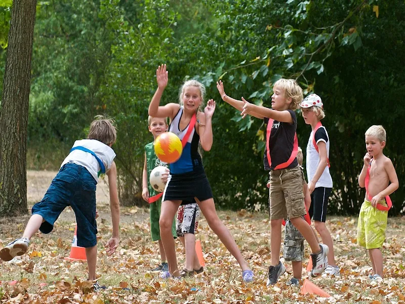 Camping La Garenne à Saint-Laurent-du-Pape / ARDECHE