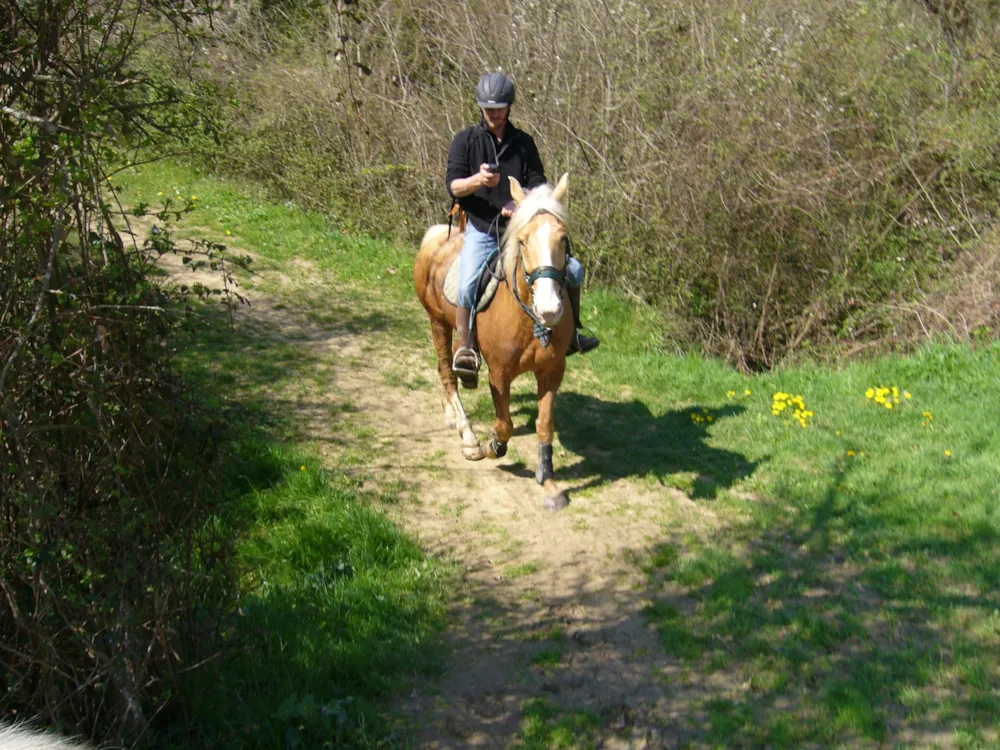 Camping LE CLOS DE LA LERE