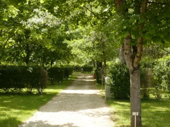 Stellplatz - Pauschalpreis (Zelt, Wohnwagen, Wohnmobil / Strom 10A) - Camping LE CLOS DE LA LERE