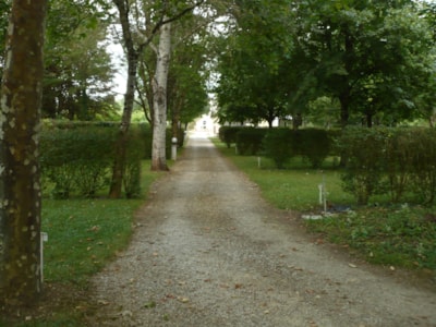 Package (1 tent, caravan or motorhome / electricity 10A)- 100m²