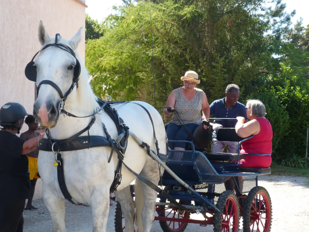 Camping LE CLOS DE LA LERE