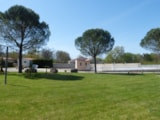 Foto #2 van Camping LE CLOS DE LA LERE