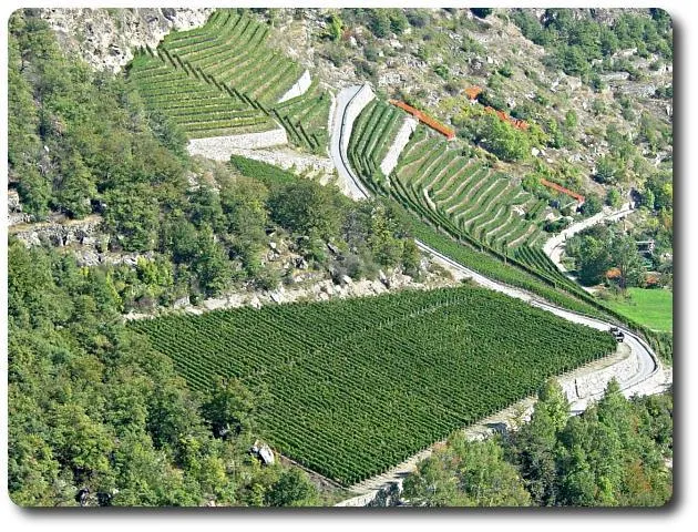 Camping Arvier - image n°14 - UniversalBooking