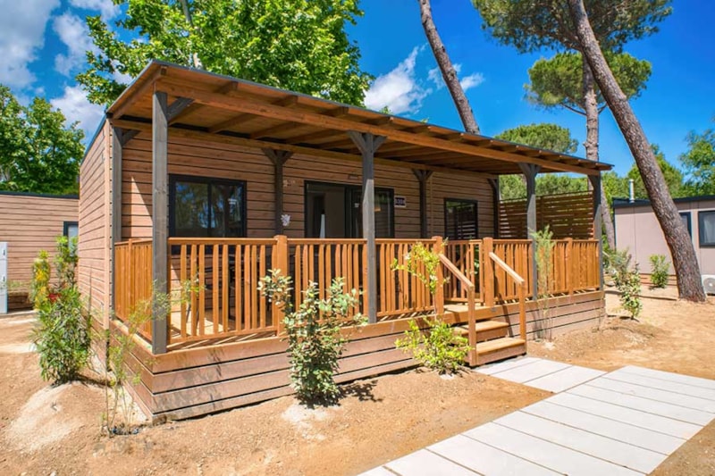 Lodge Deluxe Family Tiere erlaubt