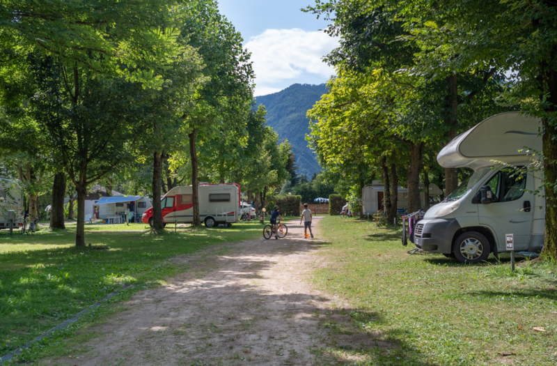 Standard-Stellplatz Haustiere erlaubt