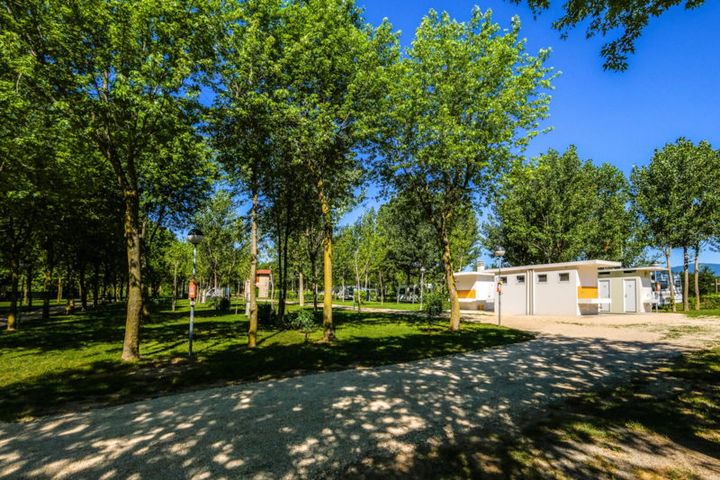 Camping Trevisago Iris Park photo 3