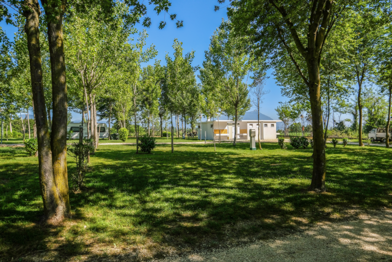 Comfort Stellplatz