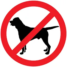 Havana Lodge Avec Sanitaires