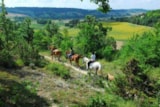 Foto #42 van Camping LE CLOS LALANDE