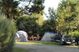 Foto #23 van Flower Camping La Grande Plage