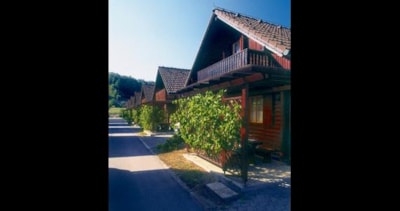 Terme Olimia
