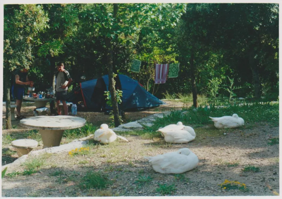 Camping Le Soline
