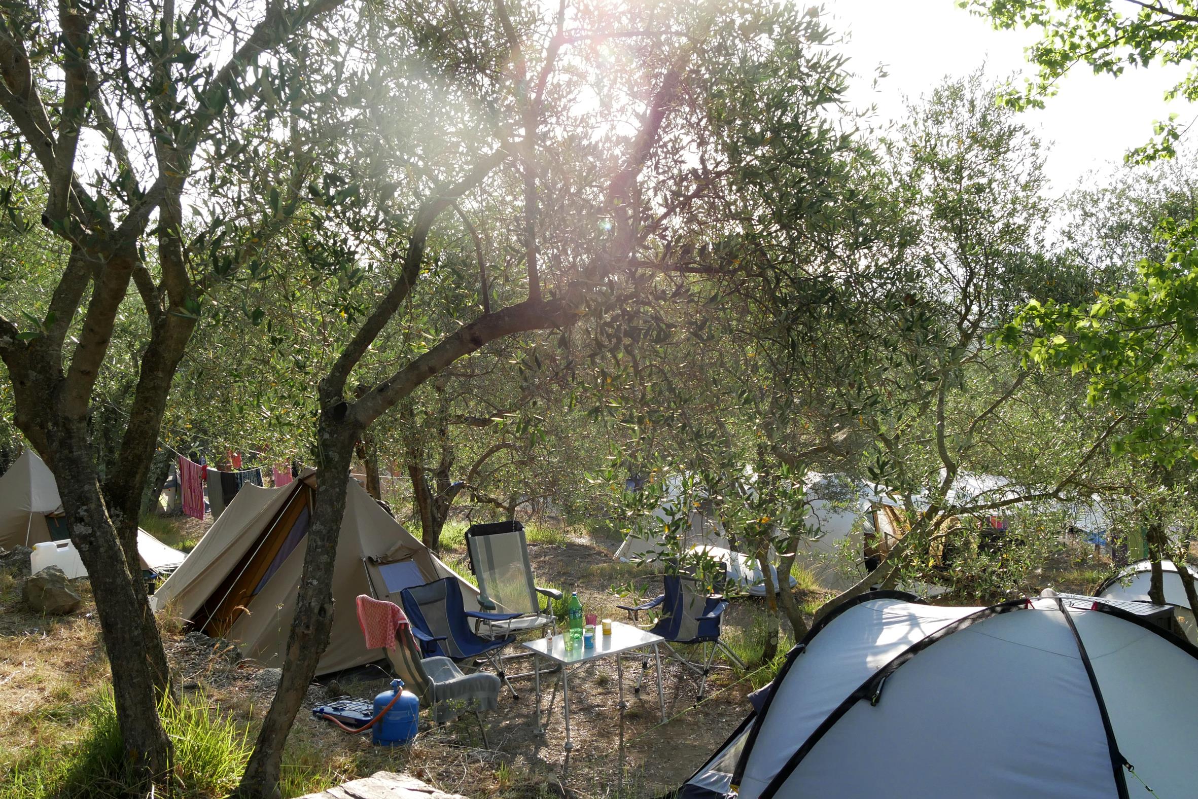 Emplacement - Emplacement Tente Familiale - Camping Le Soline