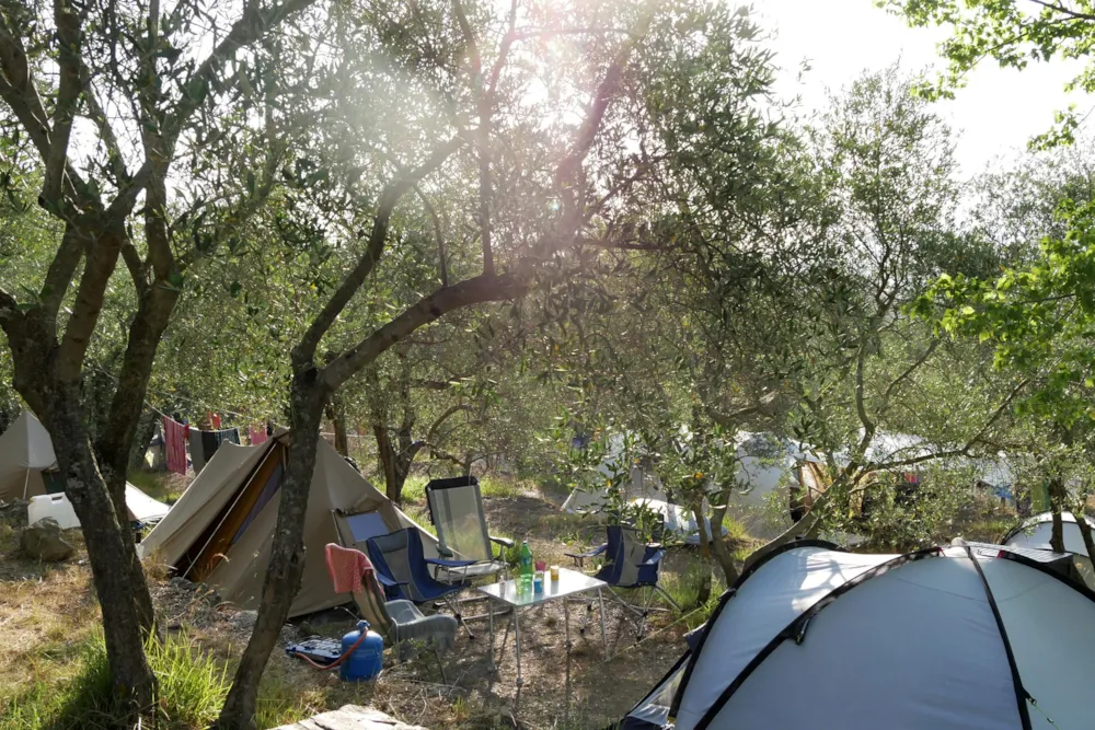 Pitch - Pitch Large Tent - Camping Le Soline