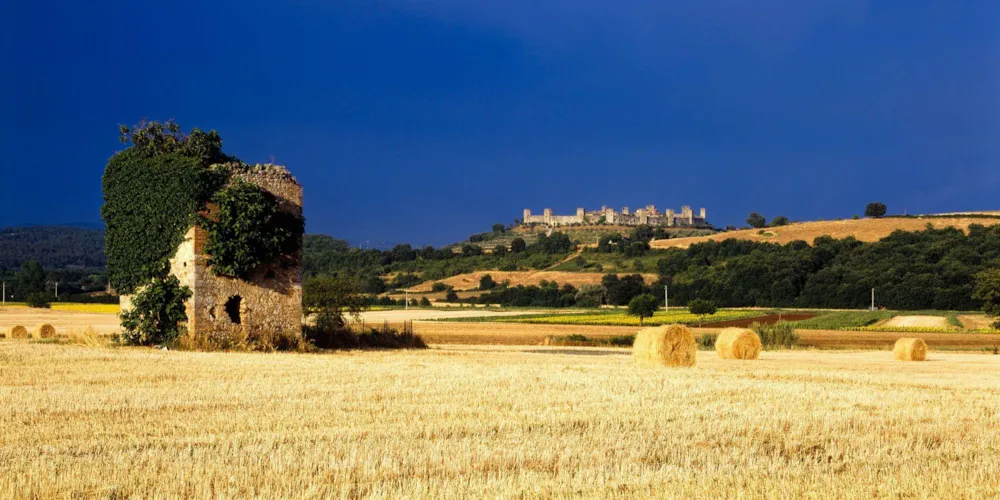 Camping Le Soline - image n°64 - UniversalBooking