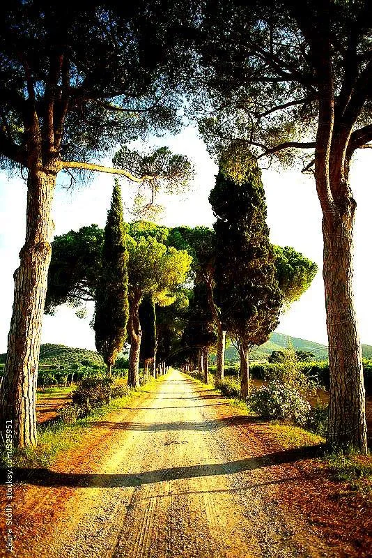 Camping Le Soline - image n°63 - UniversalBooking