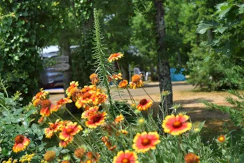 Stellplatz - Stellplatz Mit Strom 10A - Camping LES 3 CANTONS