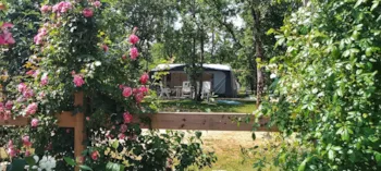 Stellplatz - Stellplatz Komfort - Camping LES 3 CANTONS