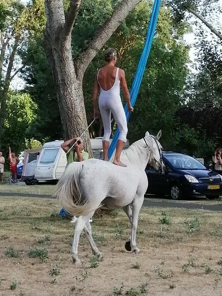 Camping Au Bord de Loire