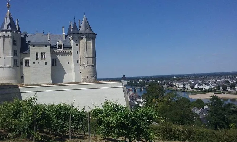 Camping Au Bord de Loire