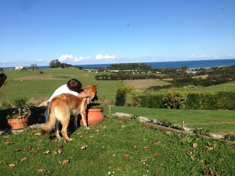 Camping Playa de Oyambre