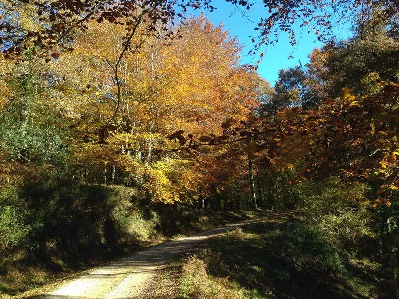 Camping Playa de Oyambre