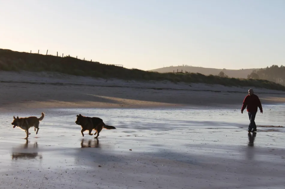Camping Playa de Oyambre