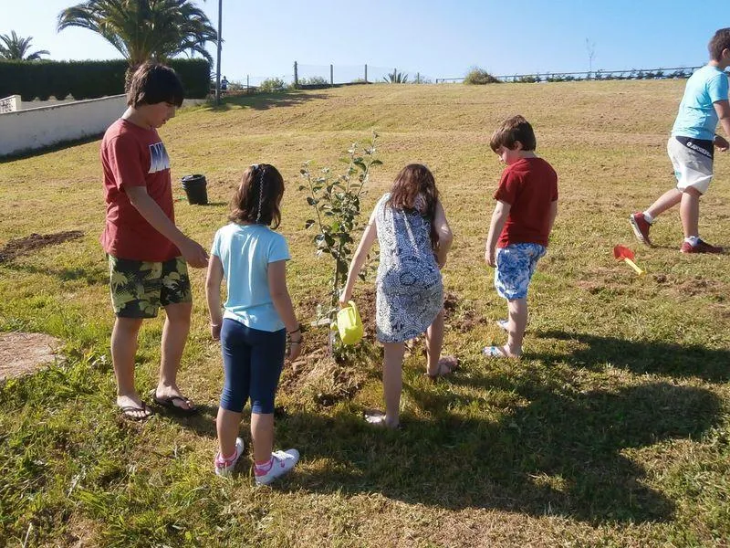Camping Playa de Oyambre