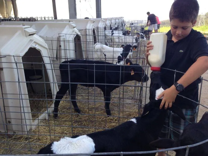Camping Playa de Oyambre