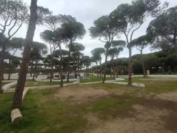 Stellplatz - Medium Für Kleinen Wohnwagen - TAIGA Puerto Santa María
