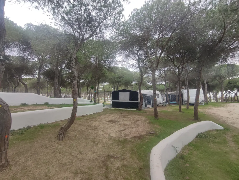 Stellplatz - Standard Terrassenförmig Nur Für Zelte - TAIGA Puerto Santa María