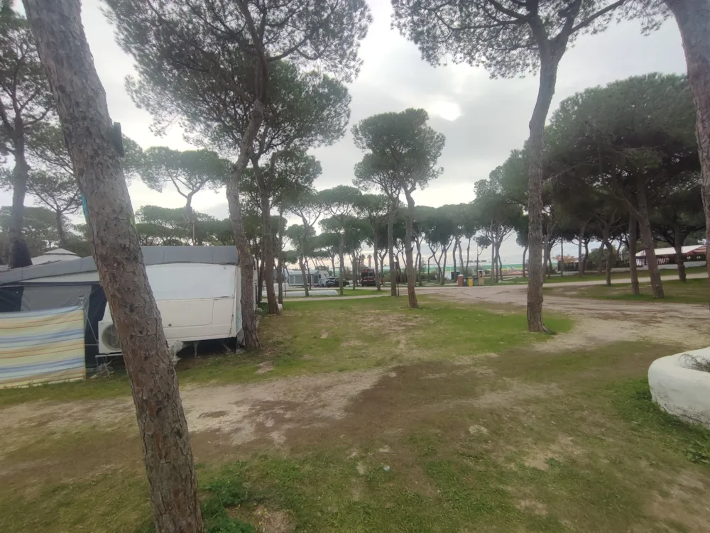 Stellplatz - Gross Für Autocaravan - TAIGA Puerto Santa María
