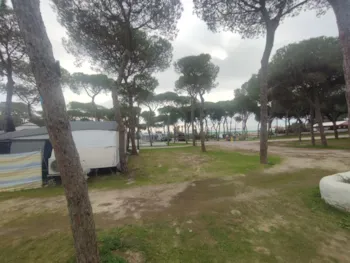 Stellplatz - Gross Für Autocaravan - TAIGA Puerto Santa María