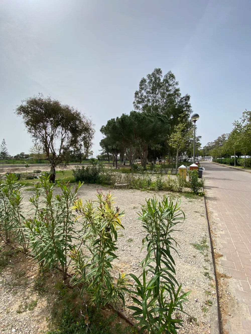 Stellplatz - Medium Für Autocaravan - TAIGA Puerto Santa María