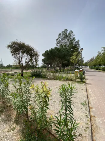 Stellplatz - Medium Für Autocaravan - TAIGA Puerto Santa María