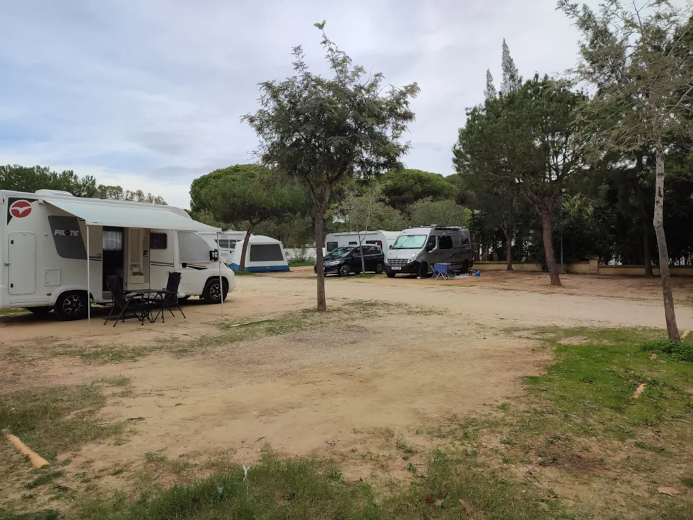 Stellplatz - Gross Mit Sonne Für Van, Caravan Oder Autocaravan - TAIGA Puerto Santa María