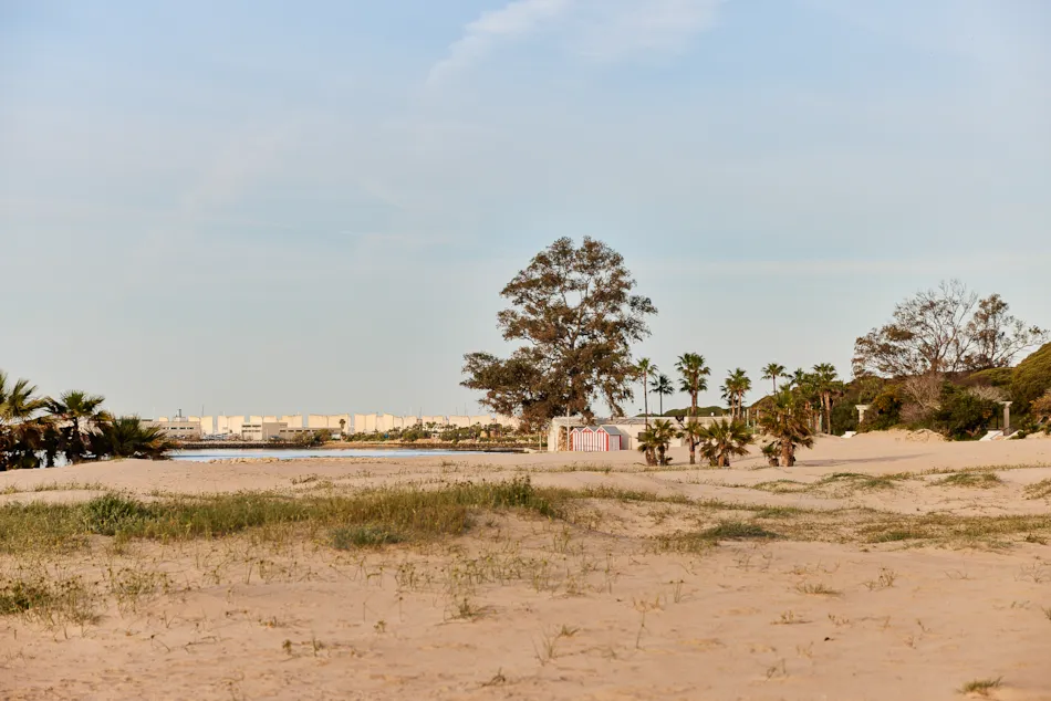 TAIGA Puerto Santa María