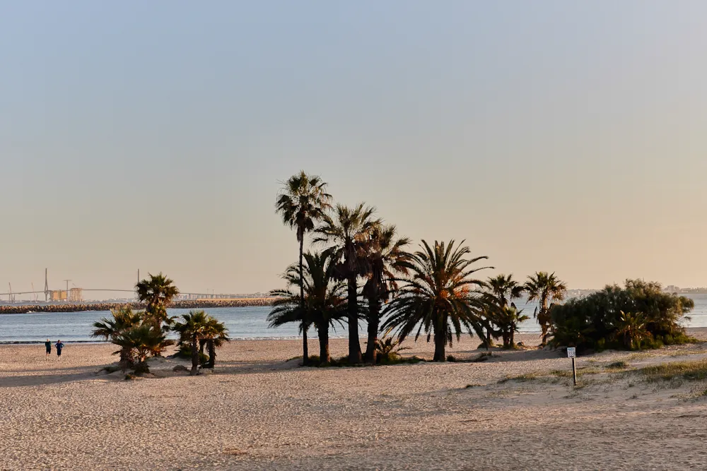 TAIGA Puerto Santa María