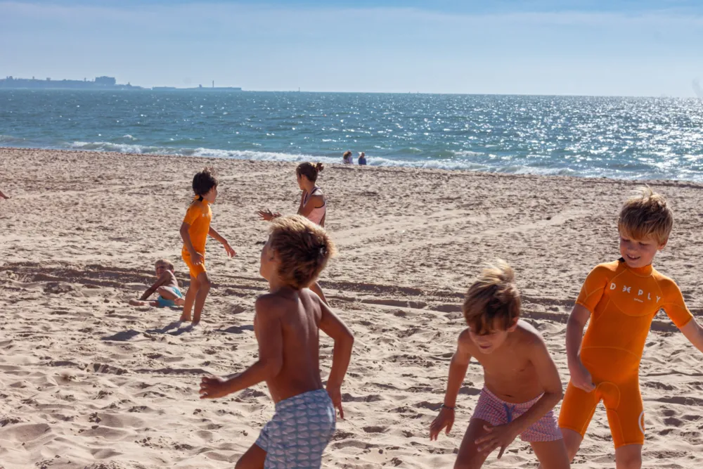 TAIGA Puerto Santa María