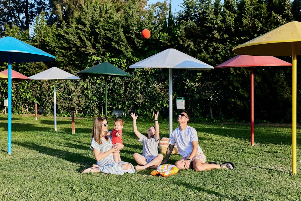 TAIGA Puerto Santa María