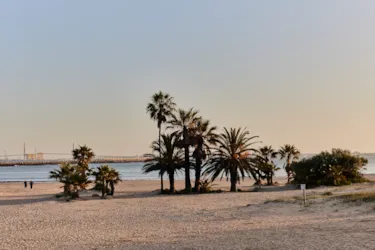 TAIGA Puerto Santa María - image n°2 - Camping Direct