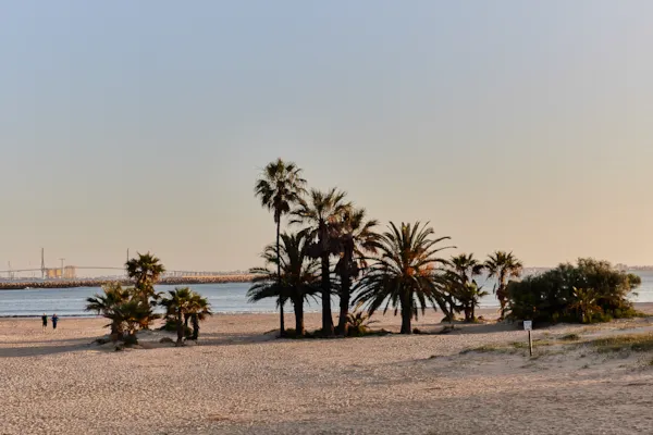 TAIGA Puerto Santa María