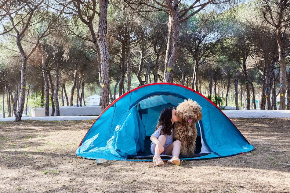 TAIGA Puerto Santa María